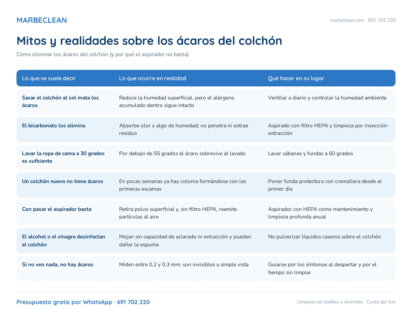 Cómo eliminar los ácaros del colchón (y por qué el aspirador no basta) 3 Mitos y realidades sobre los ácaros del colchón