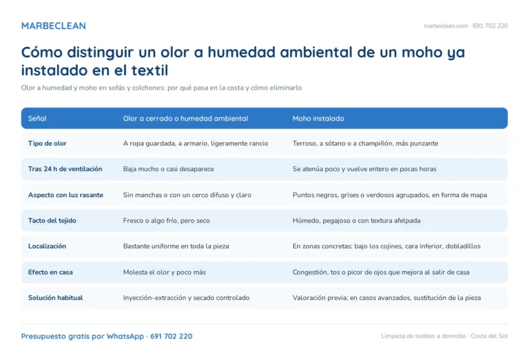 Olor a humedad y moho en sofás y colchones: por qué pasa en la costa y cómo eliminarlo
